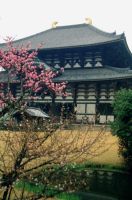 Fotoausstellung: Japan in Kirschblte