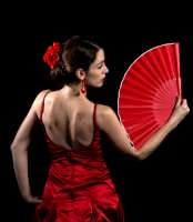 Flamenco