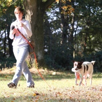 Workshop fr gehrlose HundebesitzerInnen