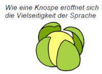 Knospe